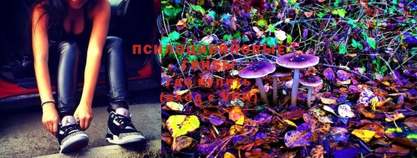 MESCALINE Ростов