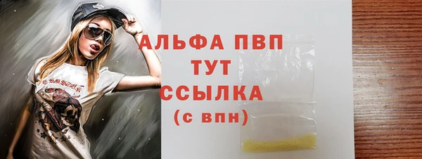 сатива Приозерск